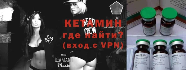 шишки Арсеньев