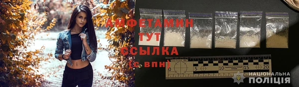 шишки Арсеньев