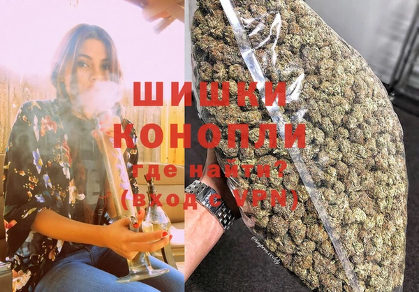 шишки Арсеньев