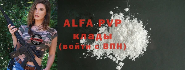 шишки Арсеньев