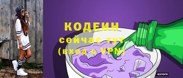 шишки Арсеньев